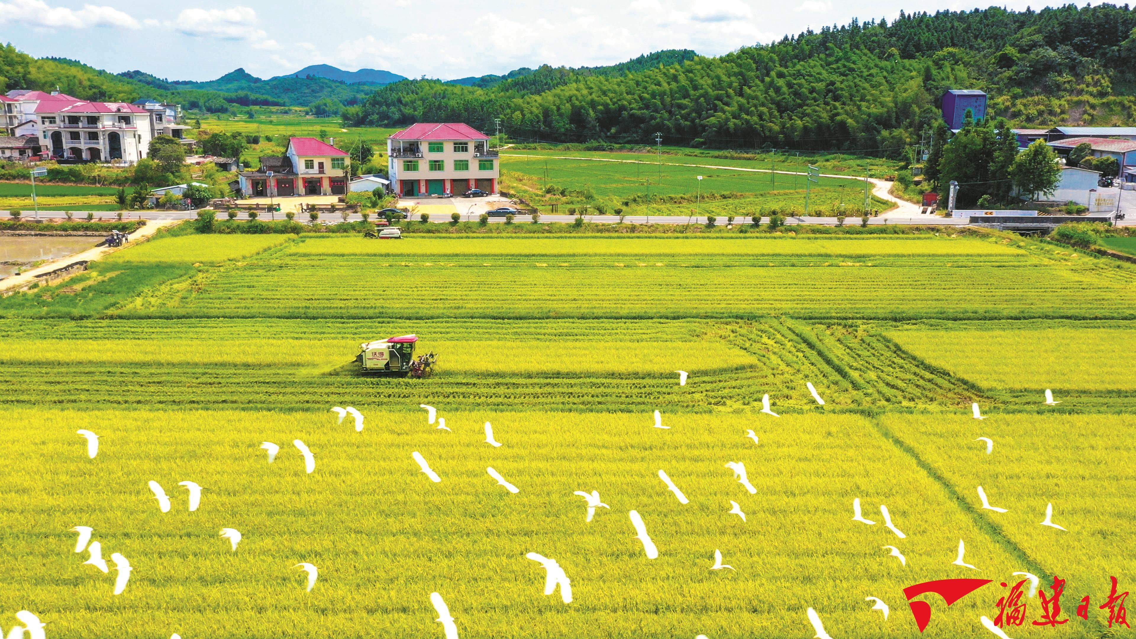 从三个“高光时刻”，解码特色现代农业发展