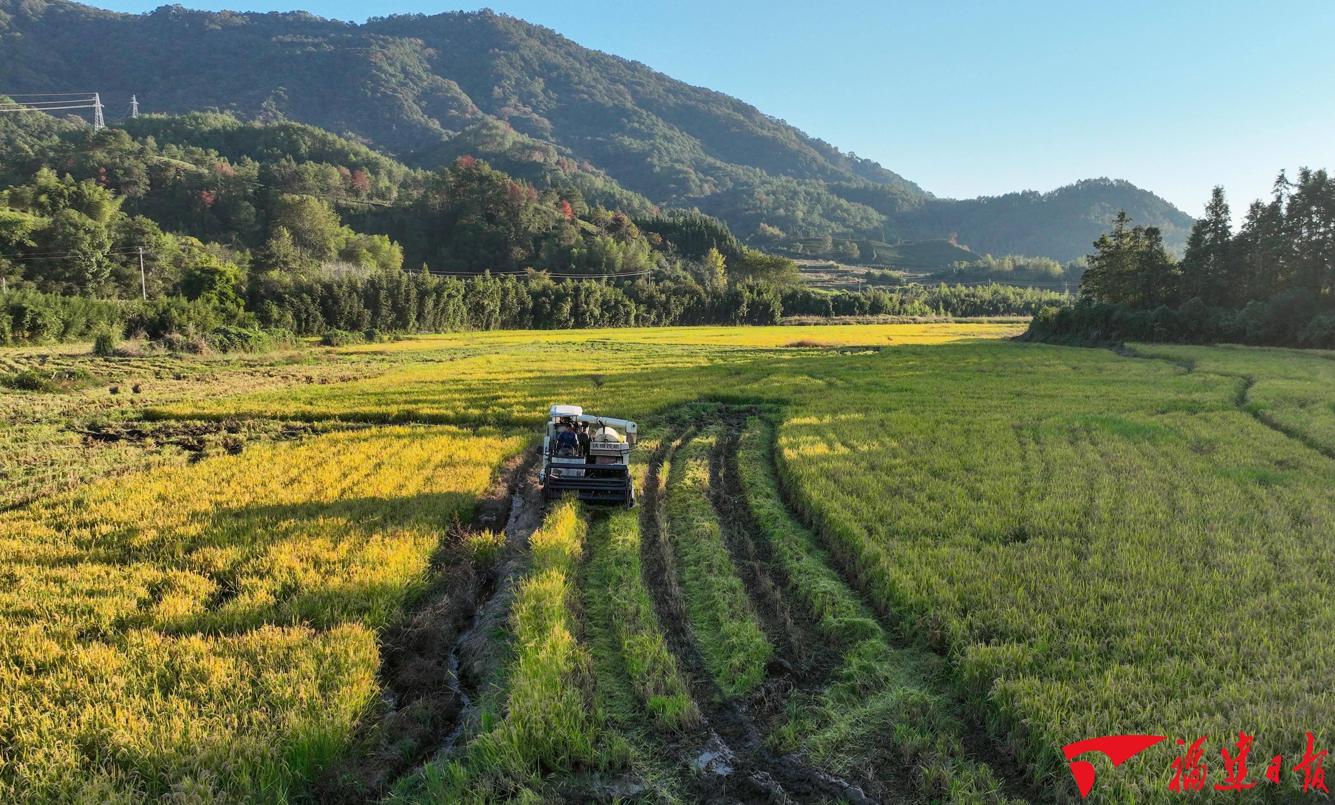 从三个“高光时刻”，解码特色现代农业发展之路(图4)
