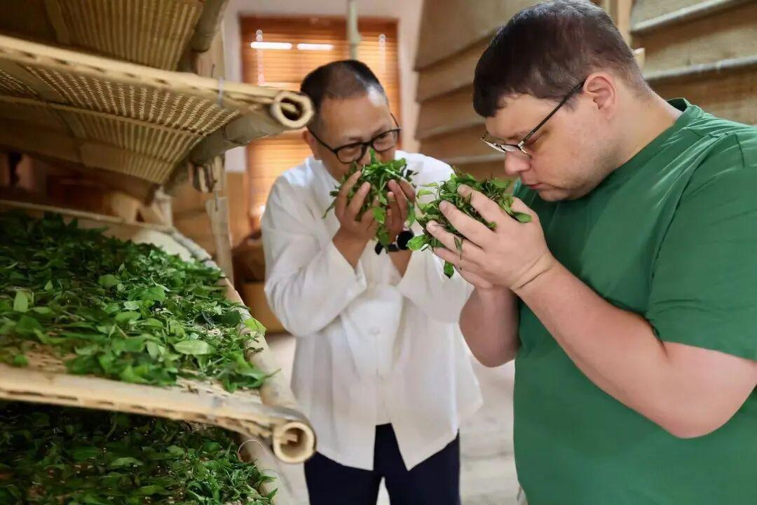 闽东坦洋工夫跨越百年，一枚邮戳传递世界茶香(图7)