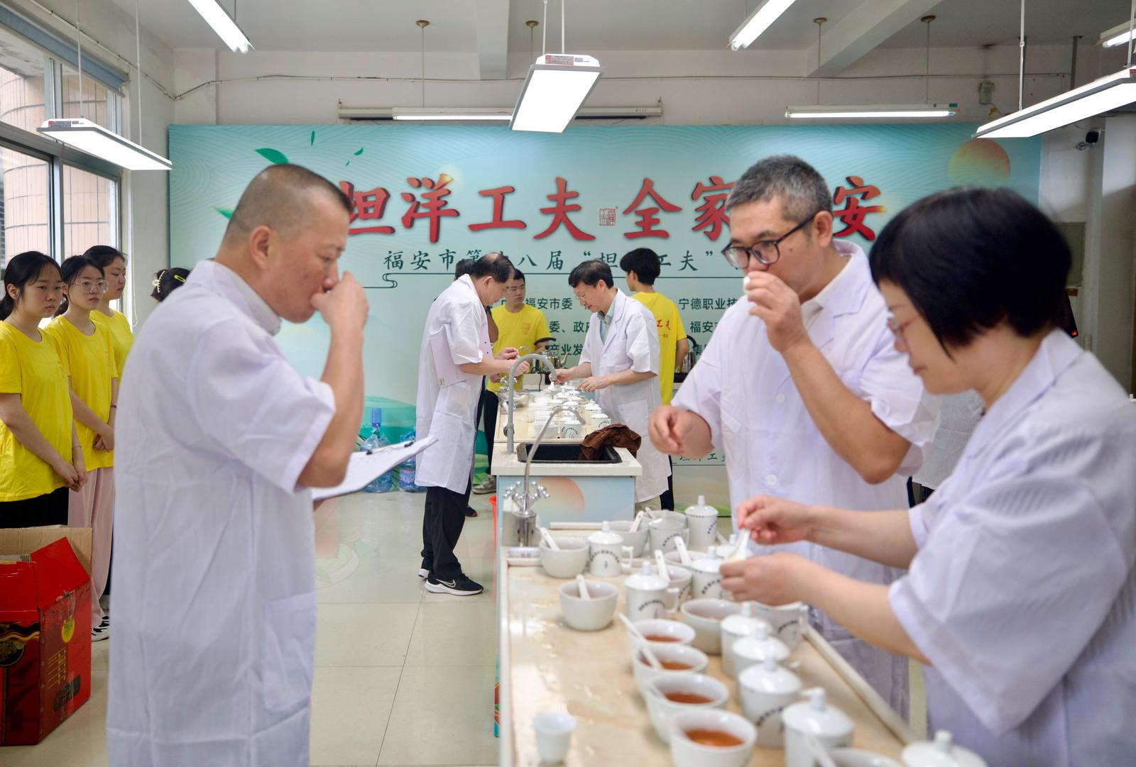 闽东坦洋工夫跨越百年，一枚邮戳传递世界茶香(图8)