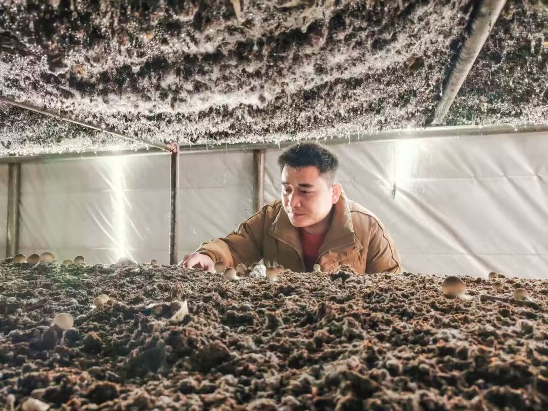 福建农民增收有妙招！从三群人看如何念好‘致富经’(图3)