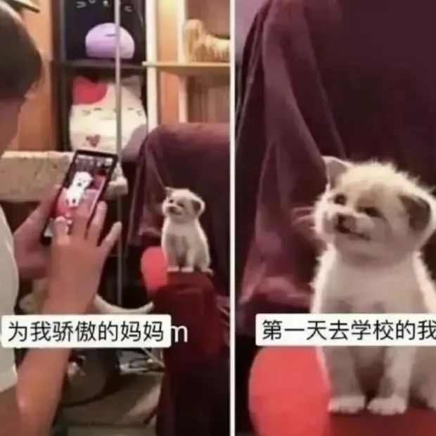 家庭群里妈妈超顶流，那些让人意想不到的事儿(图16)