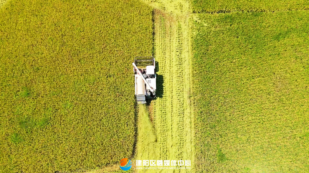 福建多地分享种地致富经，传统资源小省如何农业出彩？(图4)