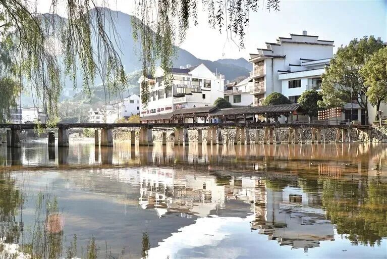 福建多地分享种地致富经，传统资源小省如何农业出彩？(图8)