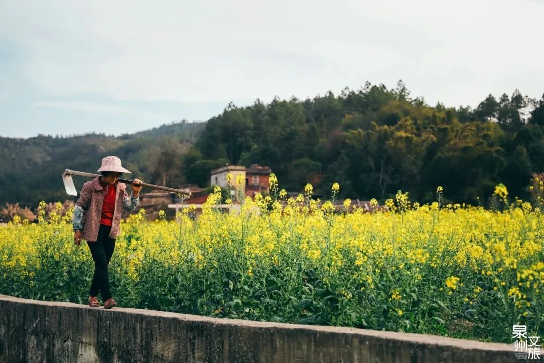 福建多地分享种地致富经，传统资源小省如何农业出彩？(图9)