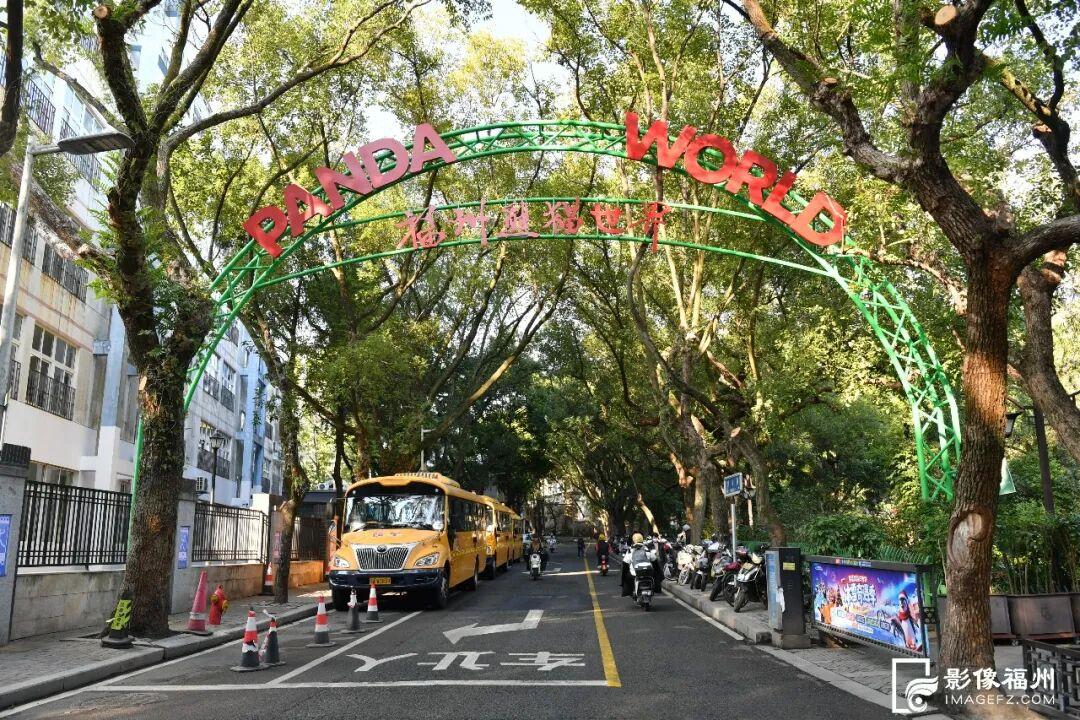 1月17日福州熊猫世界开放！快来和国宝大熊猫温暖相遇(图3)