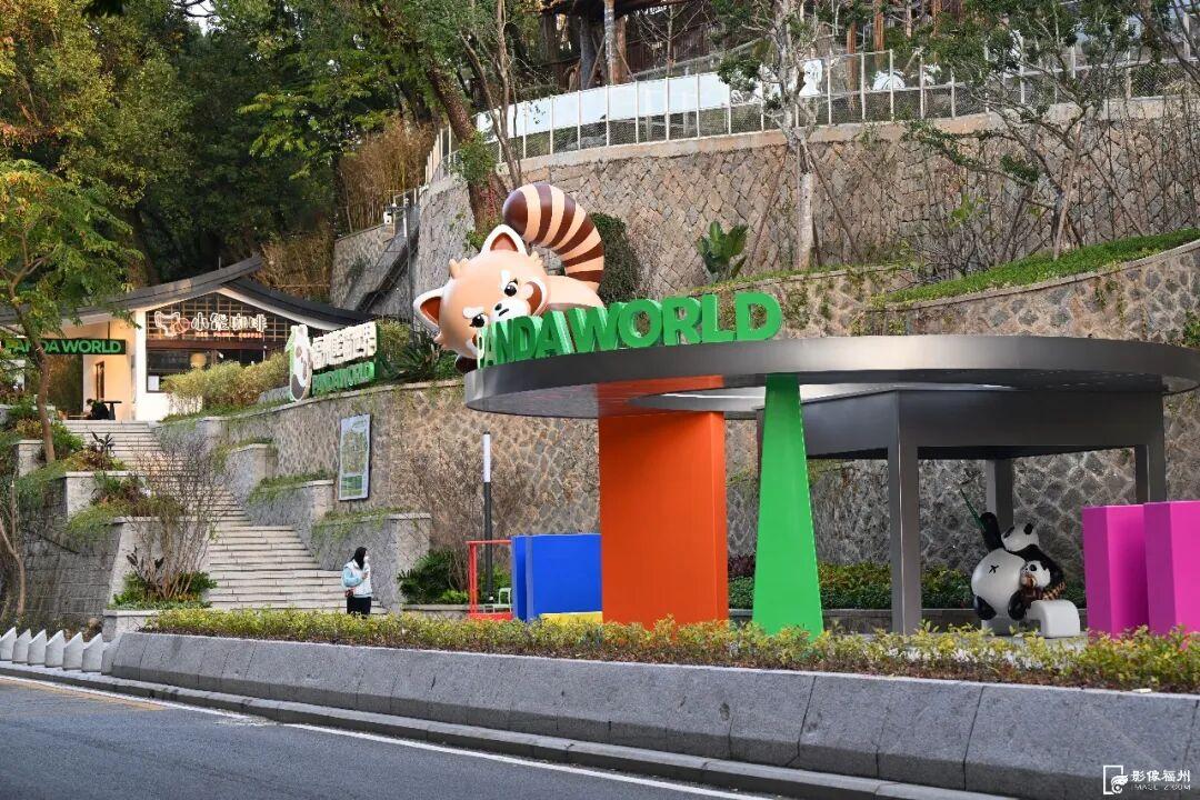 1月17日福州熊猫世界开放！快来和国宝大熊猫温暖相遇(图5)