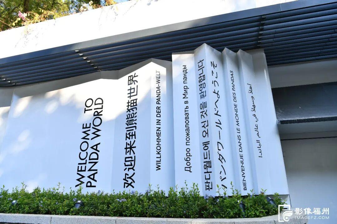 1月17日福州熊猫世界开放！快来和国宝大熊猫温暖相遇(图7)