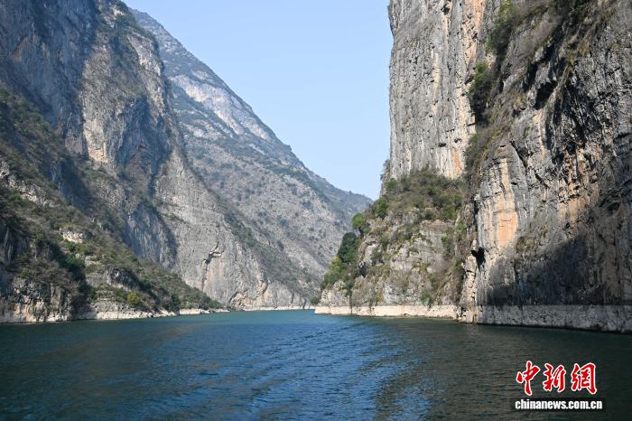 重庆巫山：筑牢长江上游生态屏障交出亮眼生态答卷(图3)