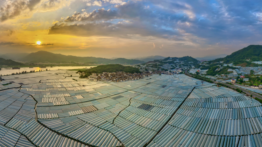 福建多地分享种地致富经，突破资源限制实现农业发展(图6)