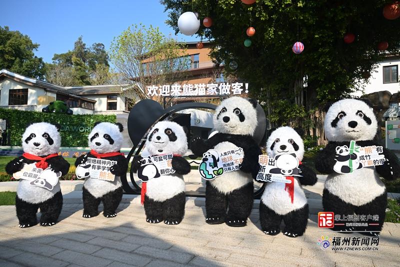 1月17日焕新升级的福州熊猫世界正式开放，速来打卡(图3)