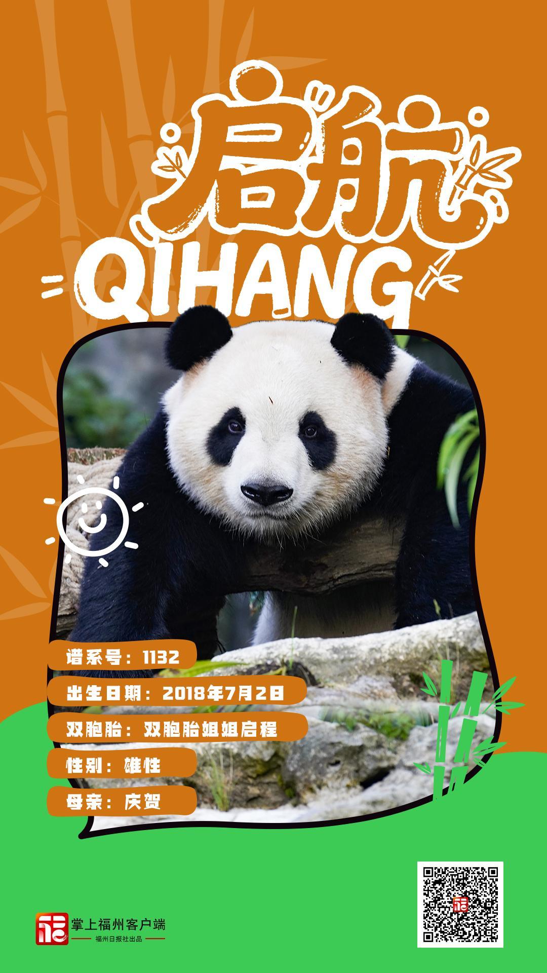 1月17日焕新升级的福州熊猫世界正式开放，速来打卡(图8)