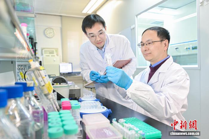 中科院化学所汪铭团队实现活体动物蛋白质精准降解清除(图2)