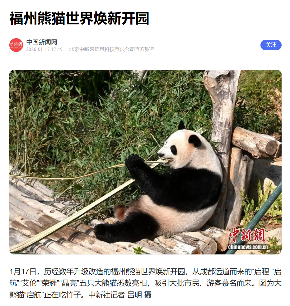 福州熊猫世界开园，五只大熊猫首秀亮相及熊生简历公开(图6)
