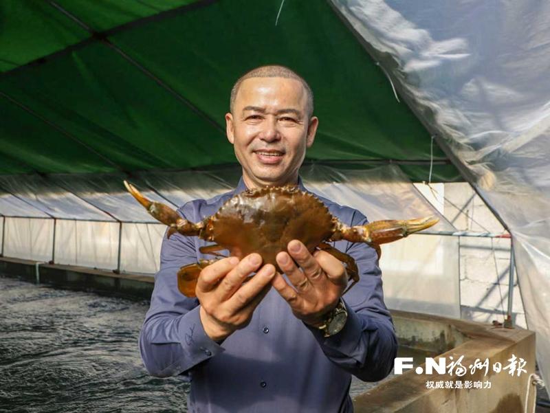 连江青蟹丰收迎旺季，传统渔业转型产出高品质海鲜(图1)