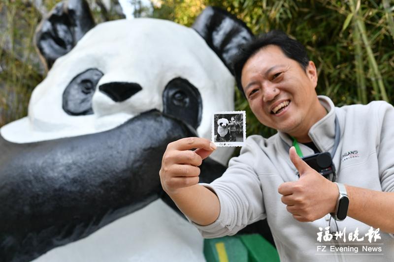 福州熊猫世界焕新开园，唤起几代人关于熊猫的共同记忆(图4)