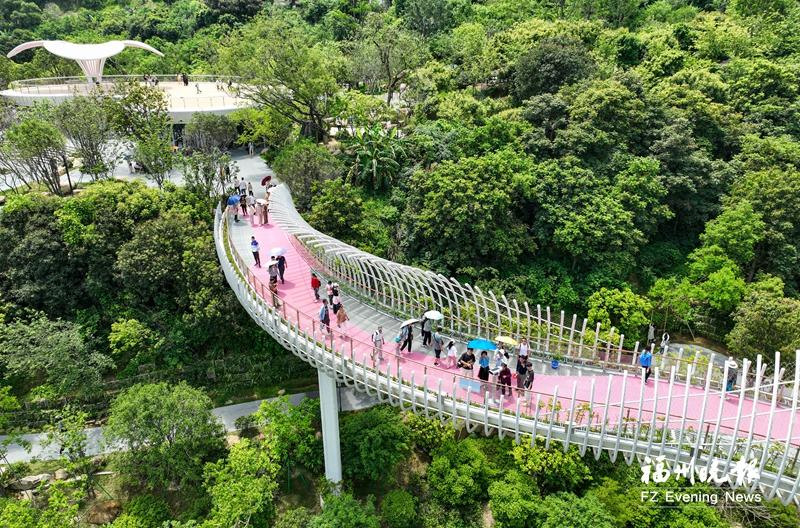 2025年三江口变化大：道路变靓产业兴，居民生活超方便(图4)