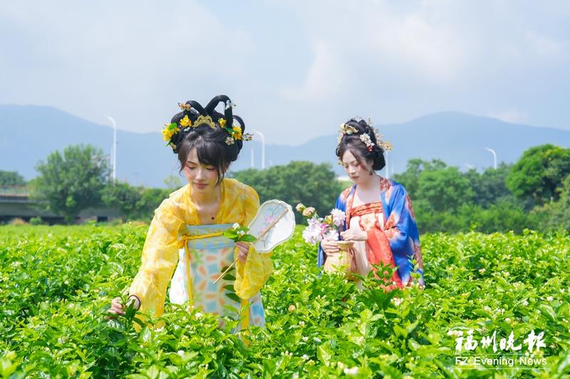 今年政府工作报告聚焦协调发展，含多项城市建设重点工作(图2)