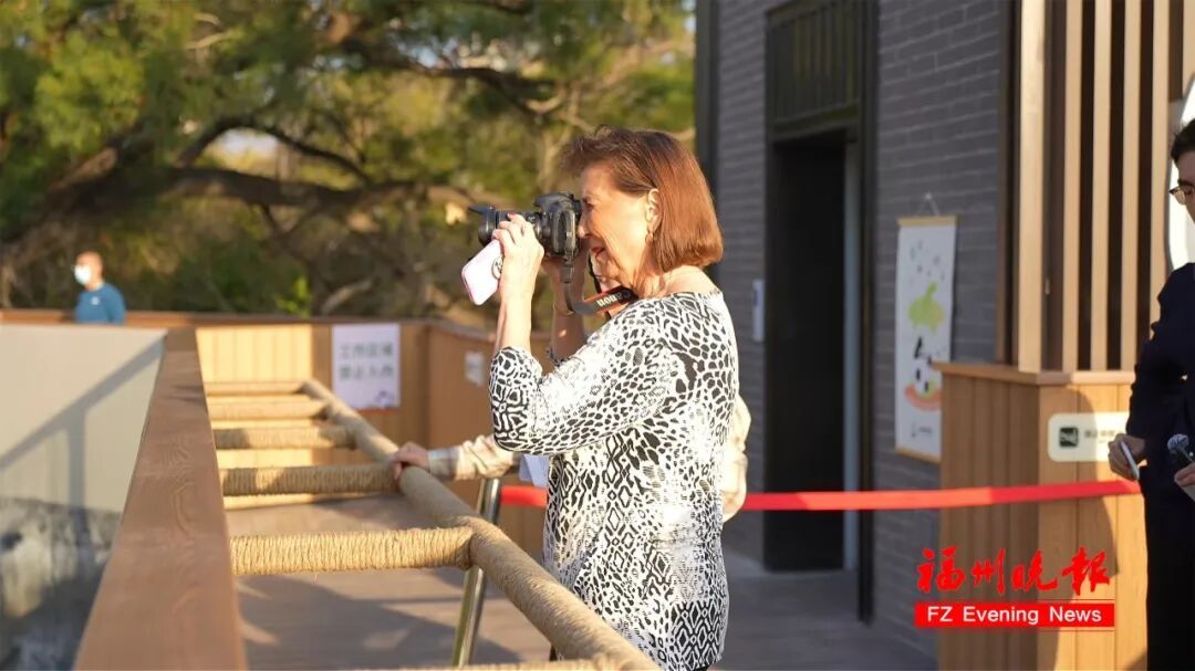 70 多岁美国女士乔治妮千里来榕会熊猫‘巴斯’(图3)