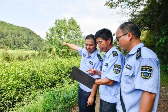 福建智慧林业进阶：123工程编织全省全天候立体防护网(图3)