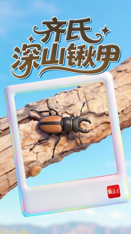 福建智慧林业进阶：123工程编织全省全天候立体防护网(图5)