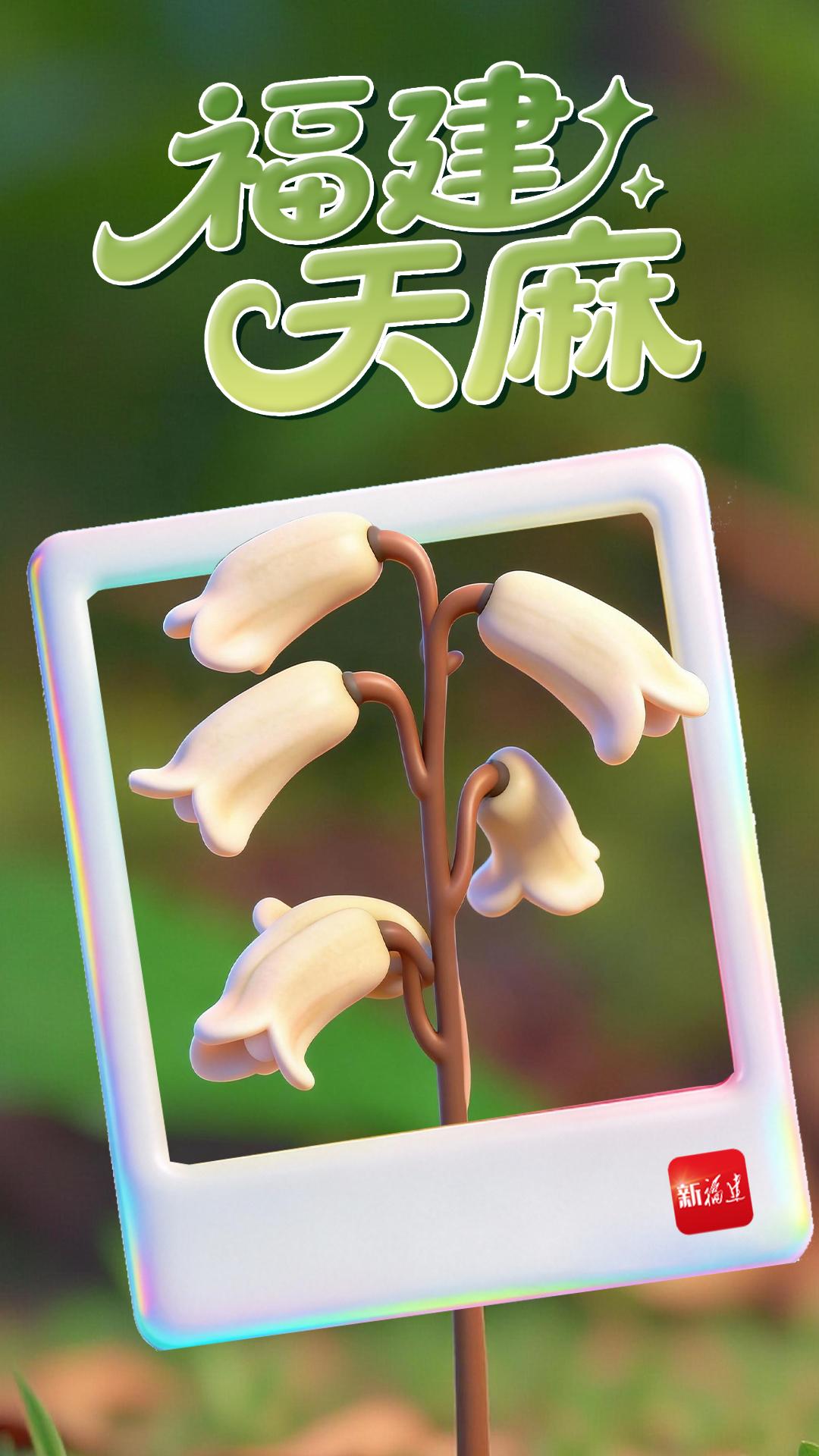 福建智慧林业进阶：123工程编织全省全天候立体防护网(图6)