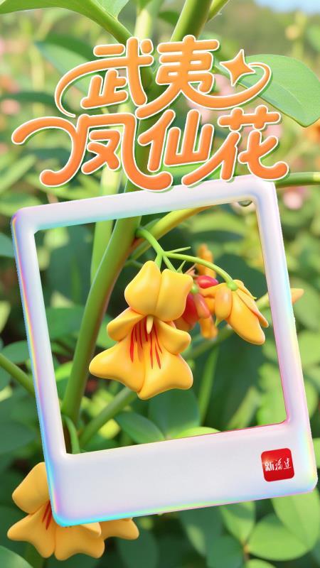 福建智慧林业进阶：123工程编织全省全天候立体防护网(图7)