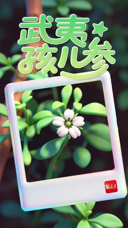 福建智慧林业进阶：123工程编织全省全天候立体防护网(图8)