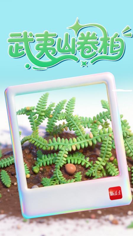 福建智慧林业进阶：123工程编织全省全天候立体防护网(图9)