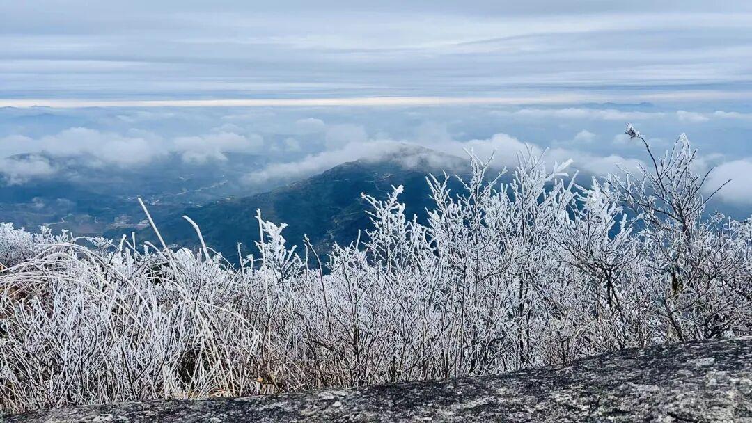 福建多地现降雪雾凇，气温下降，福州 23 日起回暖(图6)