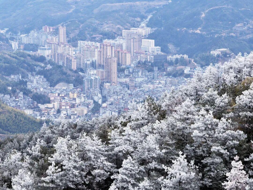 福建多地现降雪雾凇，气温下降，福州 23 日起回暖(图7)