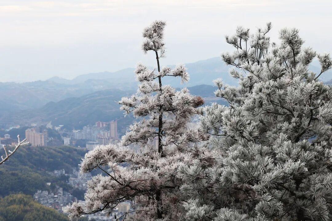 福建多地现降雪雾凇，气温下降，福州 23 日起回暖(图8)