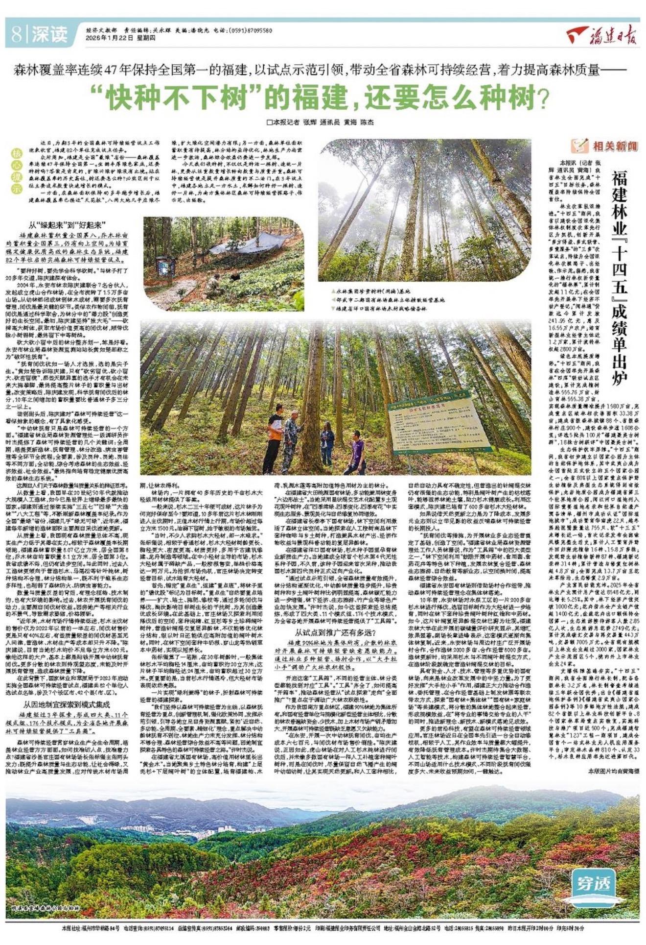 福建森林覆盖率全国第一，扩绿兴绿护绿，怎么种好一棵树一片林？(图1)