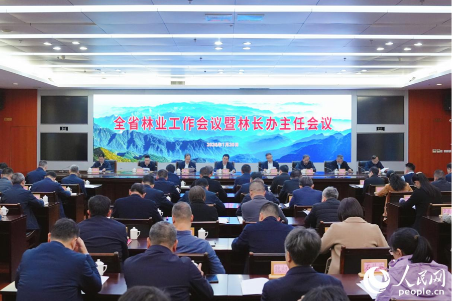 福建林业‘三多’改革亮点多，多方得益、多式联营、多重服务是啥？(图1)