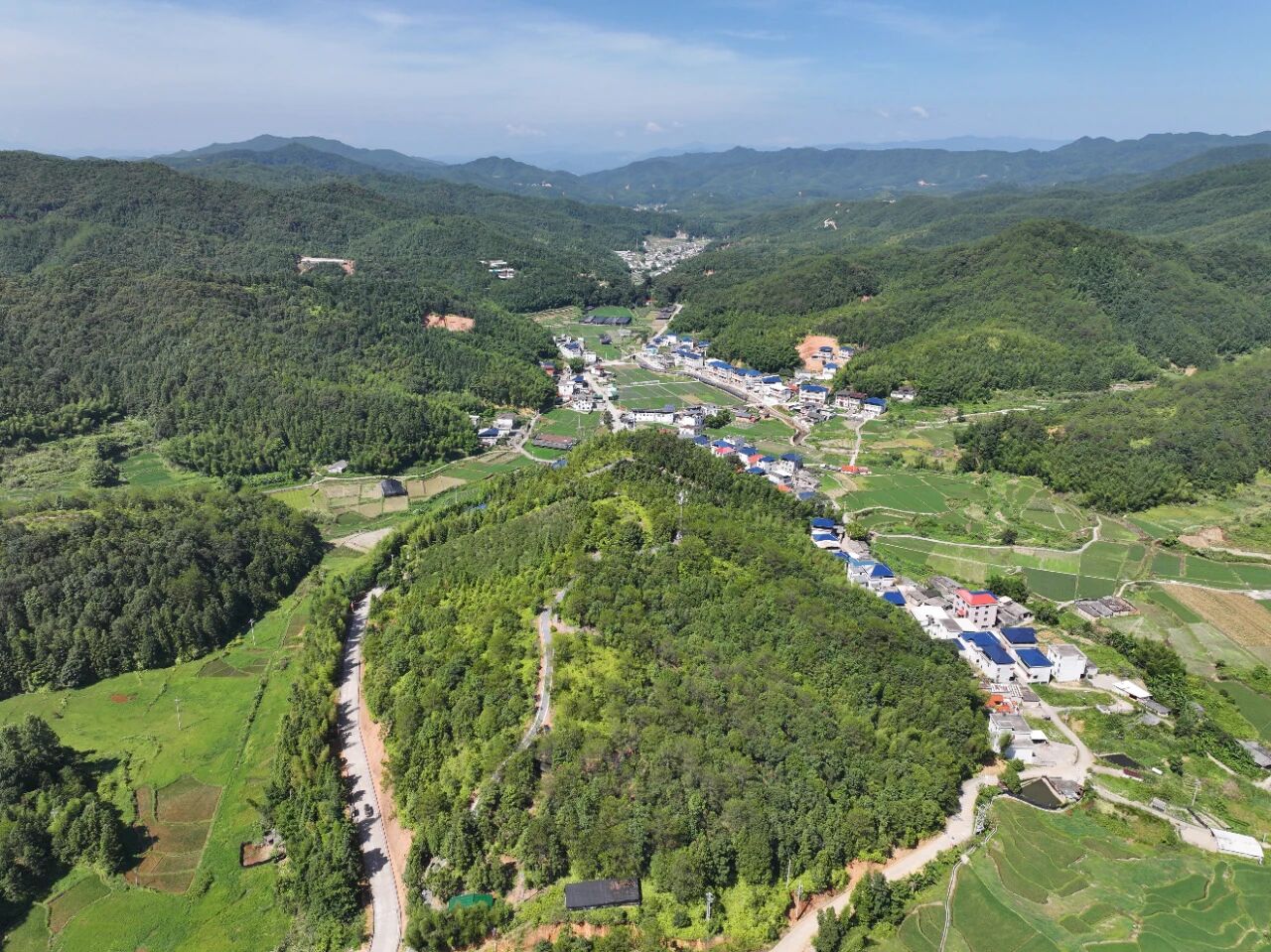 龙岩上杭招商引资培训会干货满满，片区联建产业协同发展(图2)