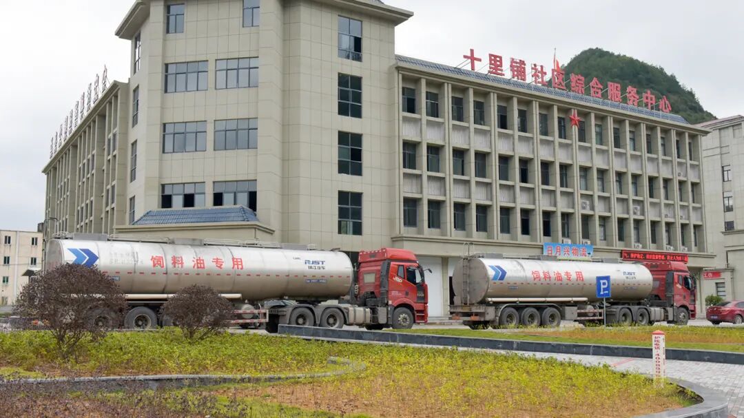 把忠诚写在闽北大地上——缅怀神农集团党委书记、创始人付光明(图10)