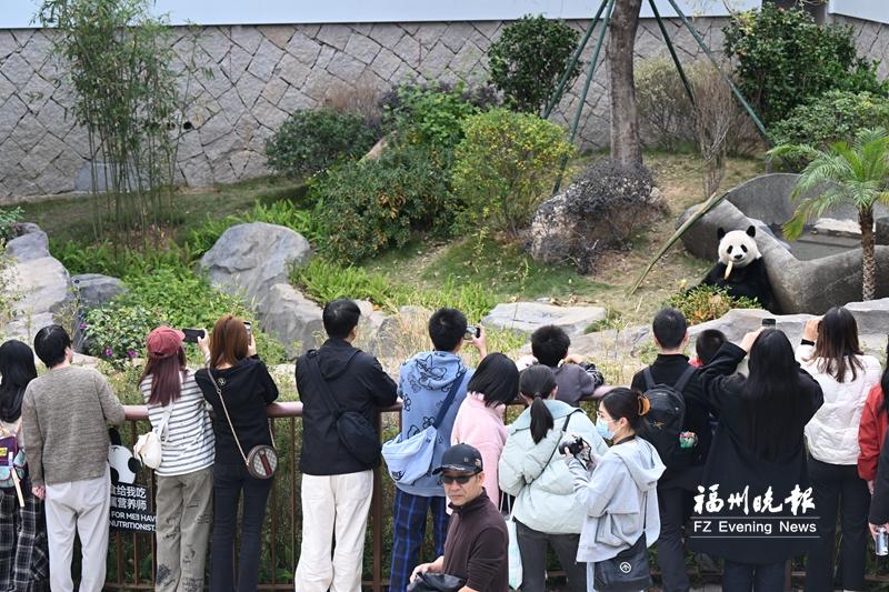 福州新春文旅月超1800场活动邀全球游客来‘过福年’(图3)