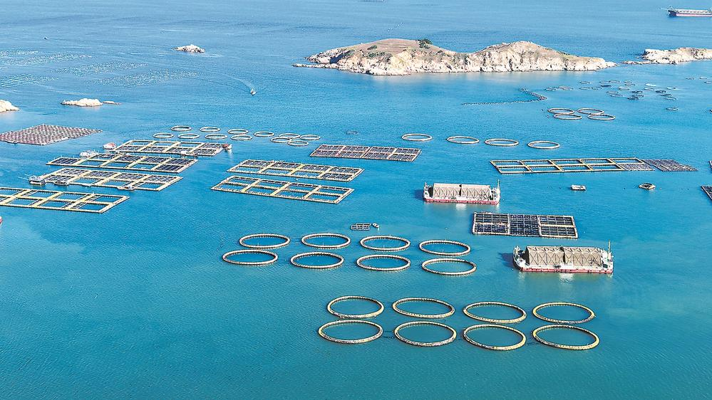 2026福建两会回望五年征途，探寻习近平总书记指引下的出彩密码(图6)