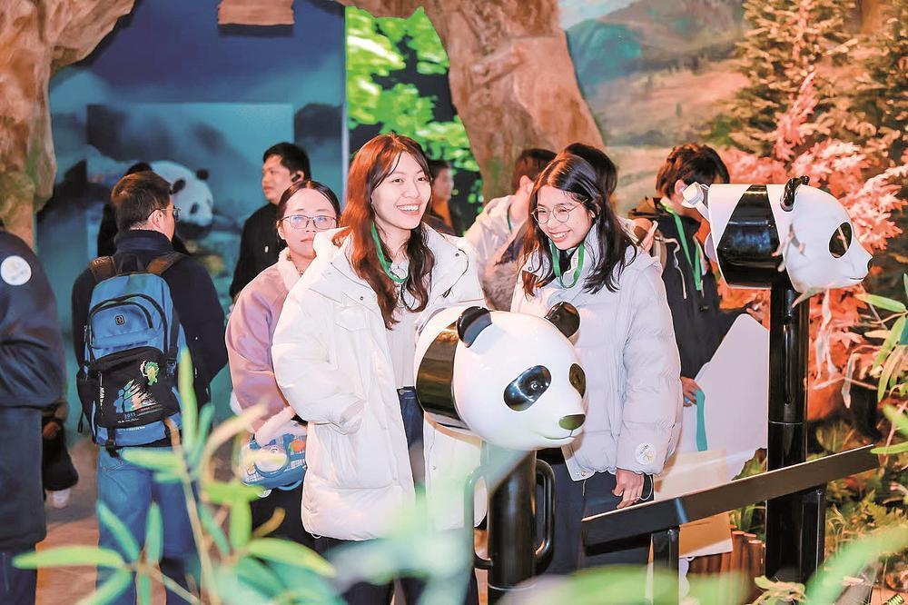 榕台青年共赴熊猫之约，感受两岸守护与美好情感交融(图1)