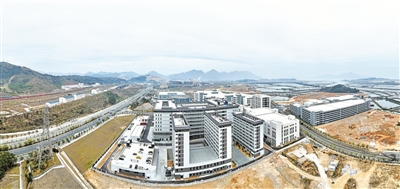 2025年宁德经济运行数据出炉，产业稳健增长态势凸显(图1)