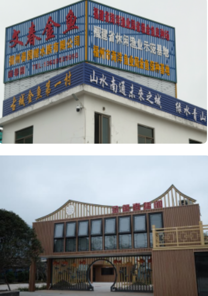 福建师大团队赴南通调研金鱼产业，看传统养殖如何走向多元(图1)