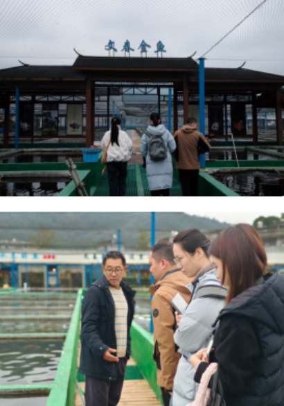 福建师大团队赴南通调研金鱼产业，看传统养殖如何走向多元(图3)