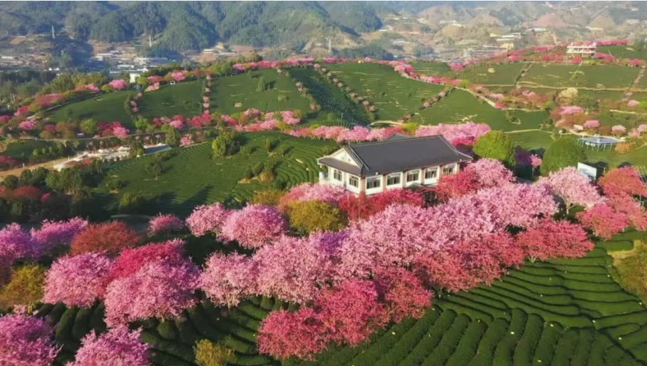 福建探路两岸融合发展新步伐，闽台同心筑家园(图4)