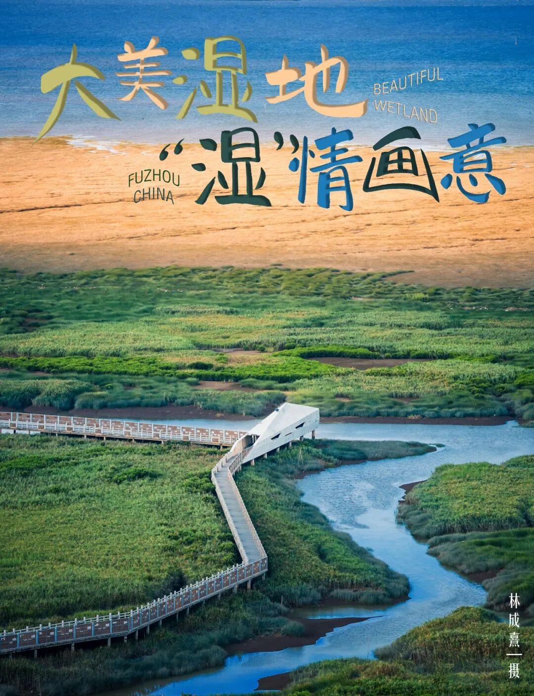 世界湿地日看福州湿地，赏生态绿与静谧蓝，观候鸟栖息(图1)