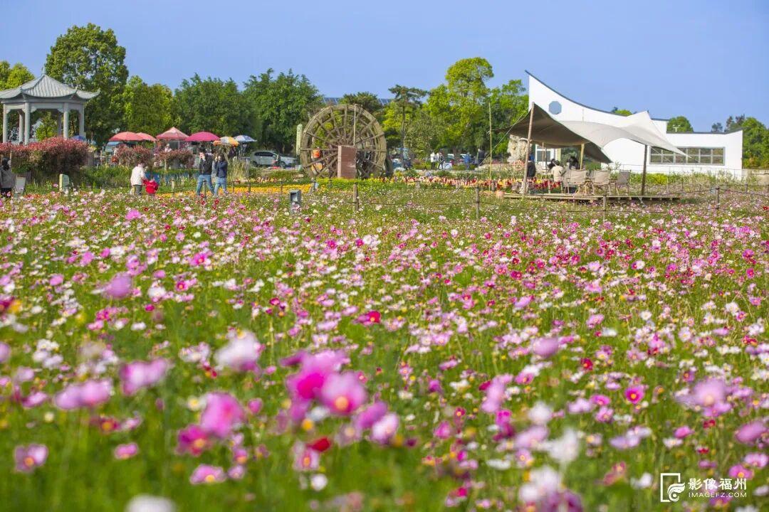 世界湿地日看福州湿地，赏生态绿与静谧蓝，观候鸟栖息(图12)