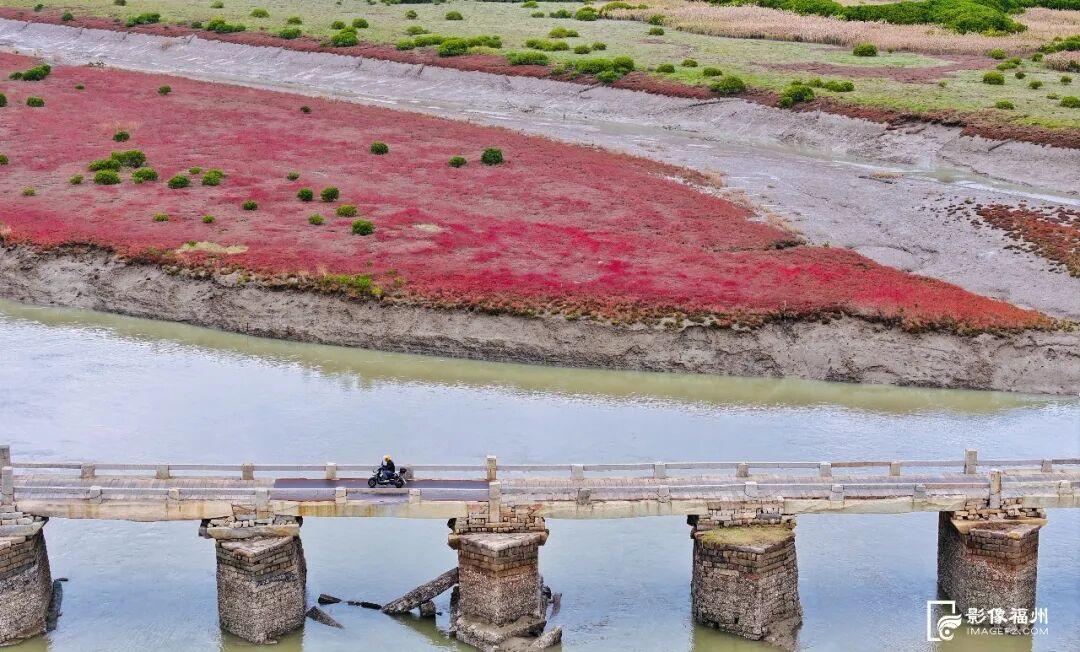 世界湿地日看福州湿地，赏生态绿与静谧蓝，观候鸟栖息(图13)