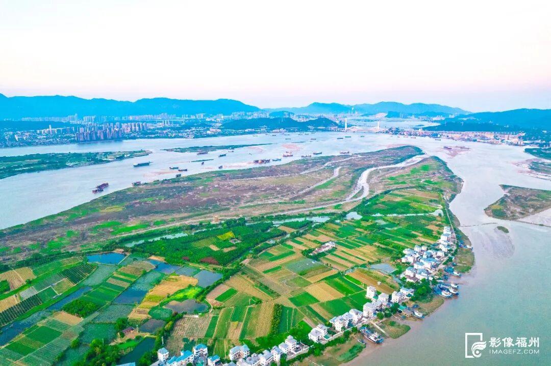 世界湿地日看福州湿地，赏生态绿与静谧蓝，观候鸟栖息(图4)