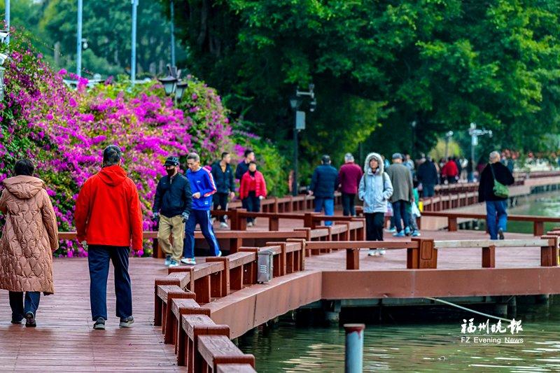 西湖环湖木栈道焕新！4 个节段完工，新秋千椅本周装(图1)