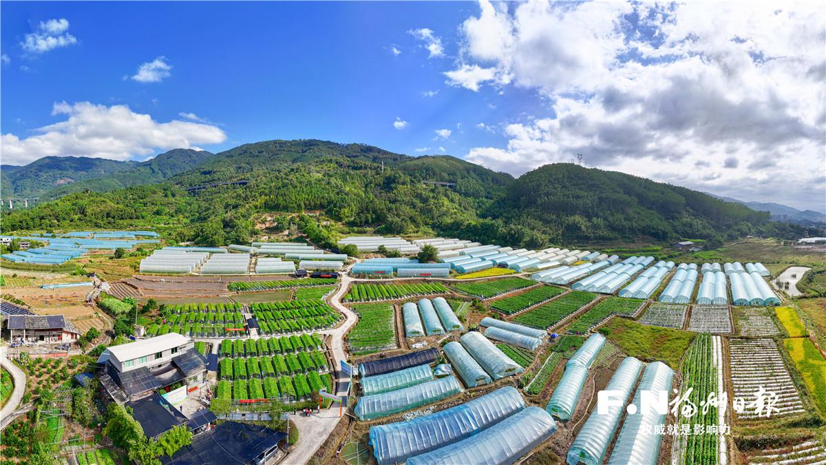 福州日报聚焦乡村振兴,盘点农业农村发展亮点成效与丰收密码(图1) 福州日报聚焦乡村振兴,盘点农业农村发展亮点成效与丰收密码(图1)