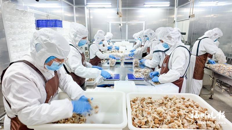 福州年味渐浓，同利肉燕忙生产，预制菜推新保障年货供应(图1)